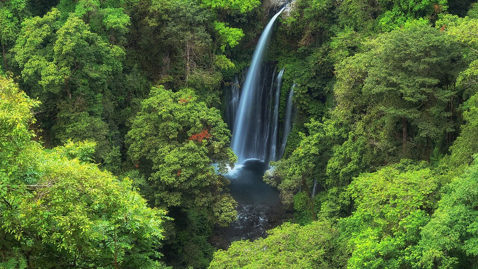 Air Terjun Tiu Kelep, Senaru